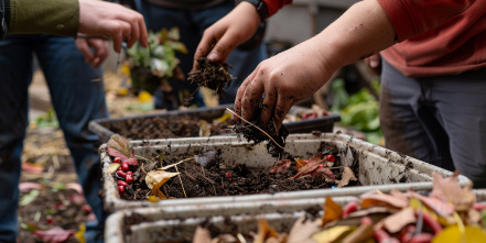 community-composting-workshop-participants-creating-valuable-soil-amendments-from-organic-waste.jpg